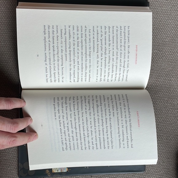 Lion’s Honey: the Myth of Samson - David Grossman. Hardcover. Mythology. - Picture 5 of 10